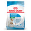 Royal Canin mini starter - суха храна за подрастващи кучета