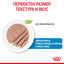 Royal Canin mini starter mousse - консервирана храна за подрастващи кучета - 6 броя x 195 гр.