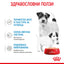Royal Canin mini starter mousse - консервирана храна за подрастващи кучета - 6 броя x 195 гр.