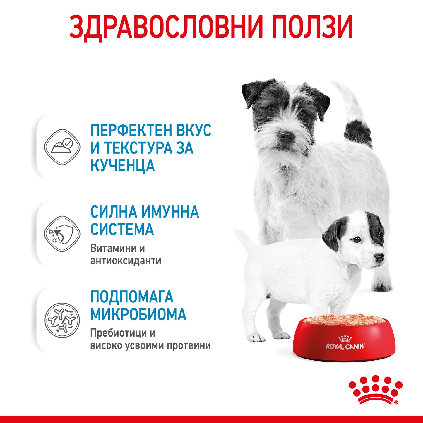 Royal Canin mini starter mousse - консервирана храна за подрастващи кучета - 6 броя x 195 гр.