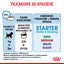 Royal Canin mini starter mousse - консервирана храна за подрастващи кучета - 6 броя x 195 гр.