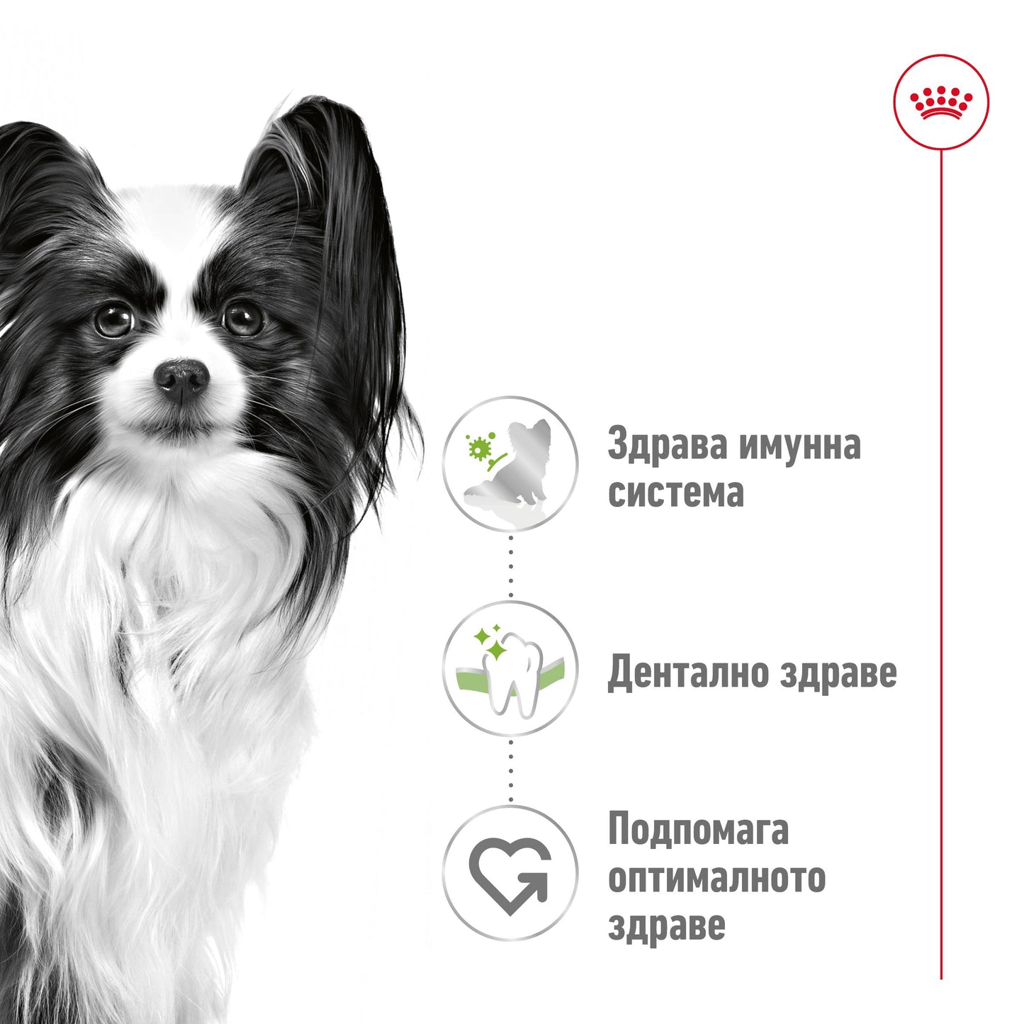 Royal Canin X-small Adult - суха храна за кучета