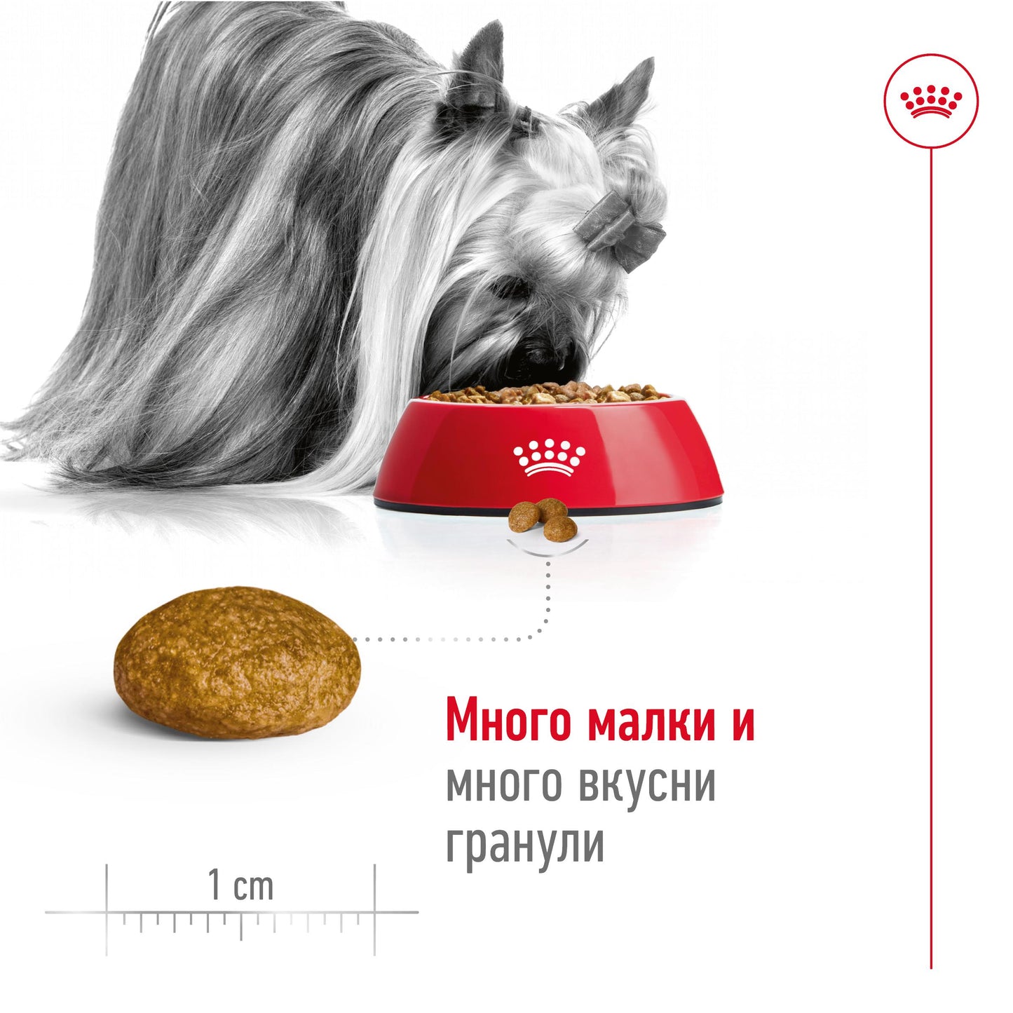 Royal Canin X-small Adult - суха храна за кучета