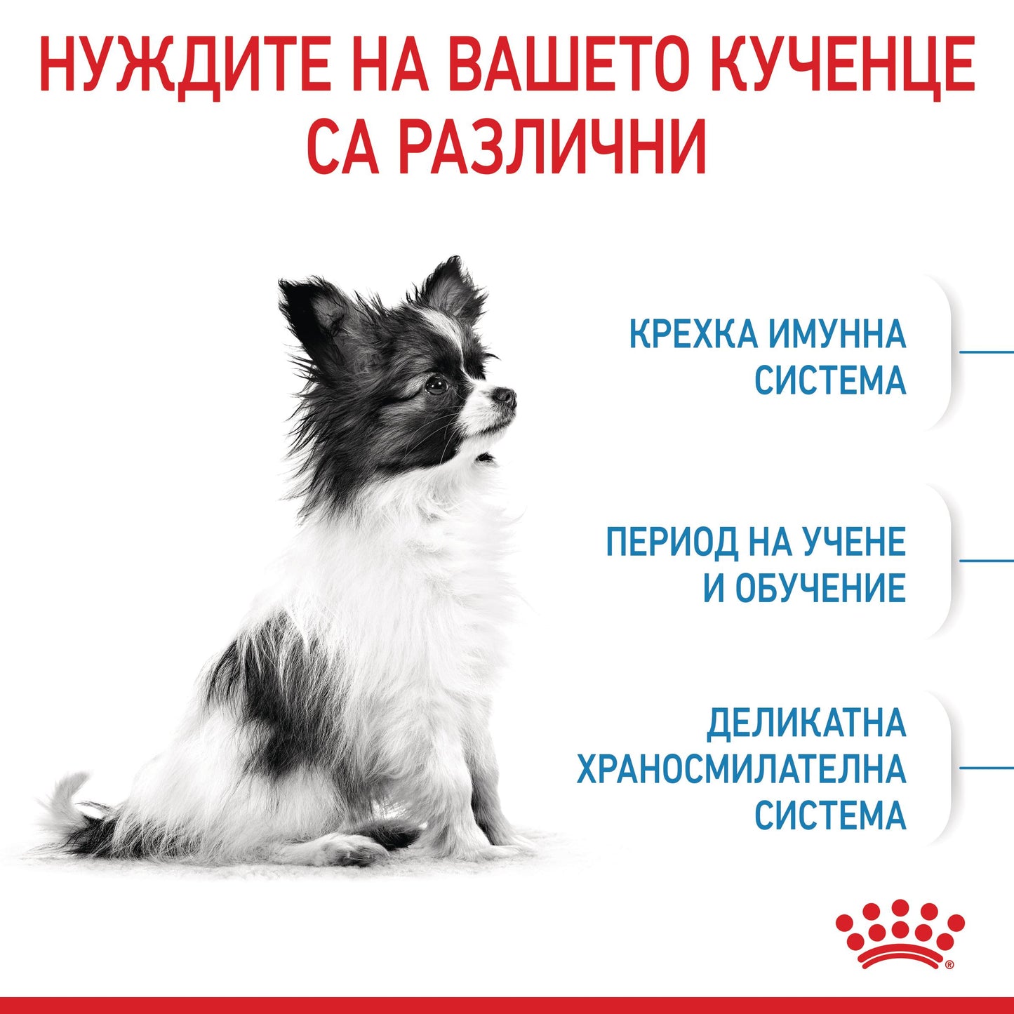 Royal Canin X-small puppy - суха храна за подрастващи кучета