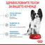 Royal Canin X-small puppy - суха храна за подрастващи кучета