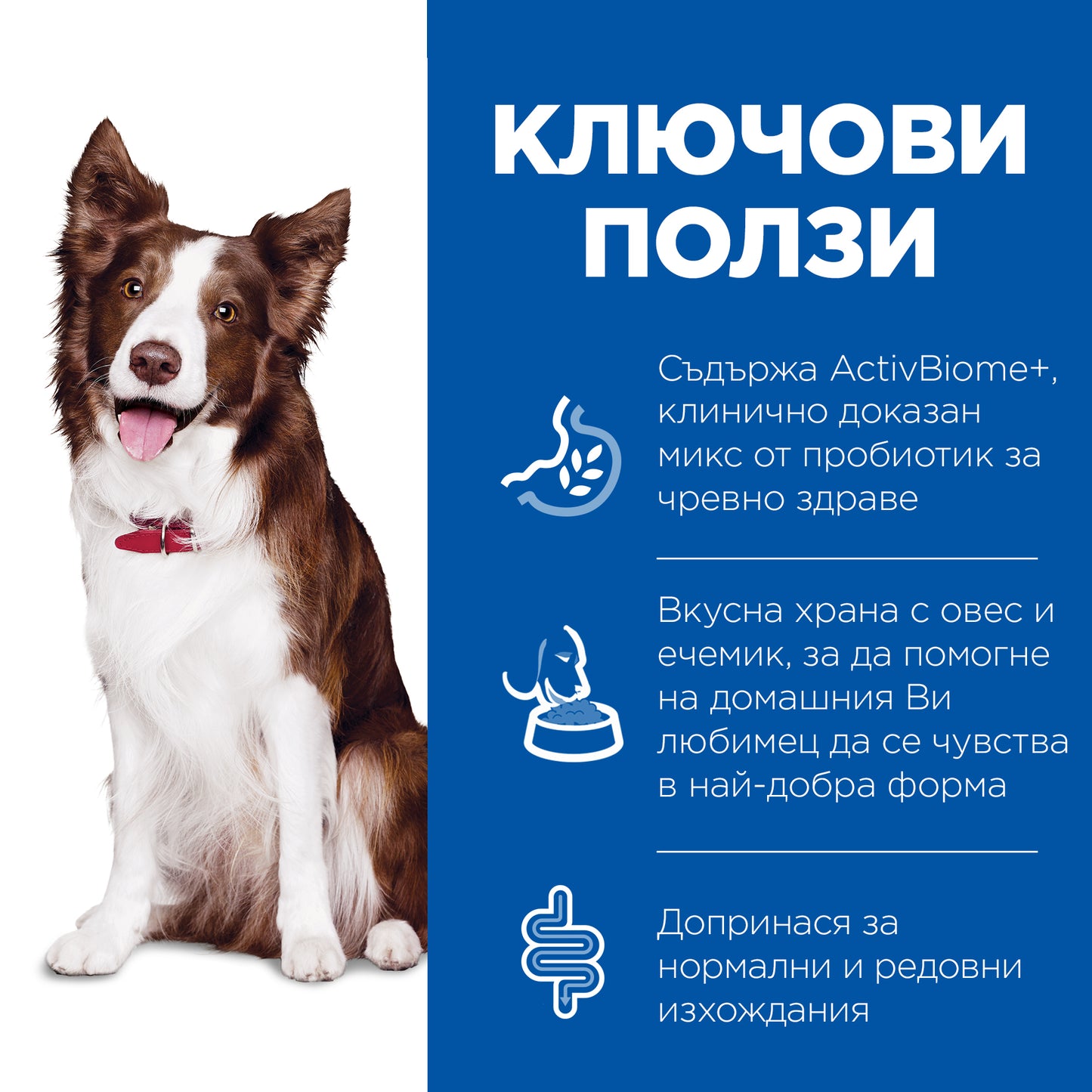Hill’s - суха храна за кучета от средни породи с пилешко и кафяв ориз - 14 кг.