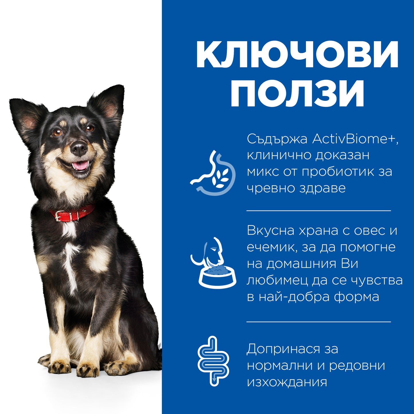 Hill’s - суха храна за кучета от дребни и мини породи с пилешко и кафяв ориз