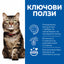 Hill’s - суха храна за кастрирани котки за намаляване на космените топки и красива козина с пиле - 1.5 кг