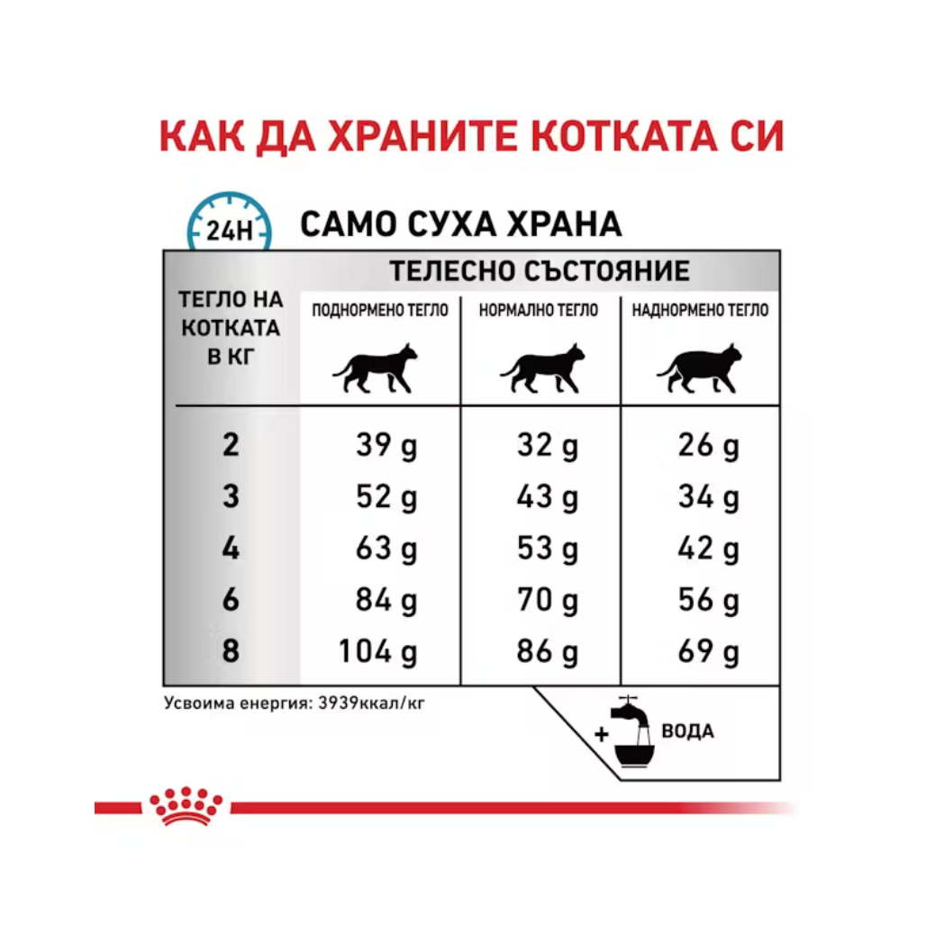 Royal Canin Anallergenic - Суха храна за котки с алергии или непоносимости към храни - 2 кг.