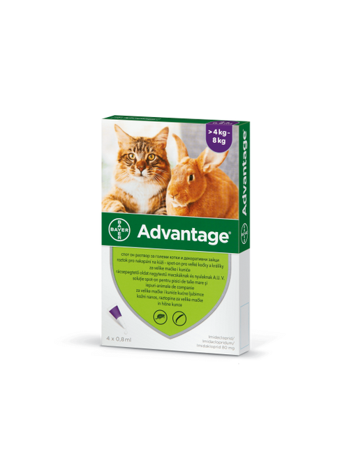 Advantage Spot On - Противопаразитни пипети за котки с тегло от 4 кг. до 8 кг. - 4 броя в опаковка