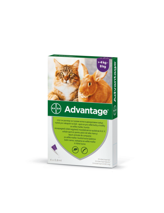 Advantage Spot On - Противопаразитни пипети за котки с тегло от 4 кг. до 8 кг. - 4 броя в опаковка