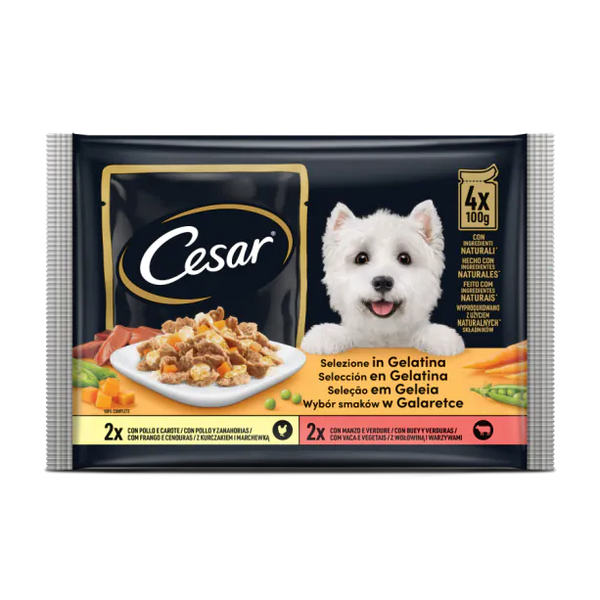 Cesar - паучове за кучета с пиле и говеждо в желе - 6 броя x 4x100 гр.