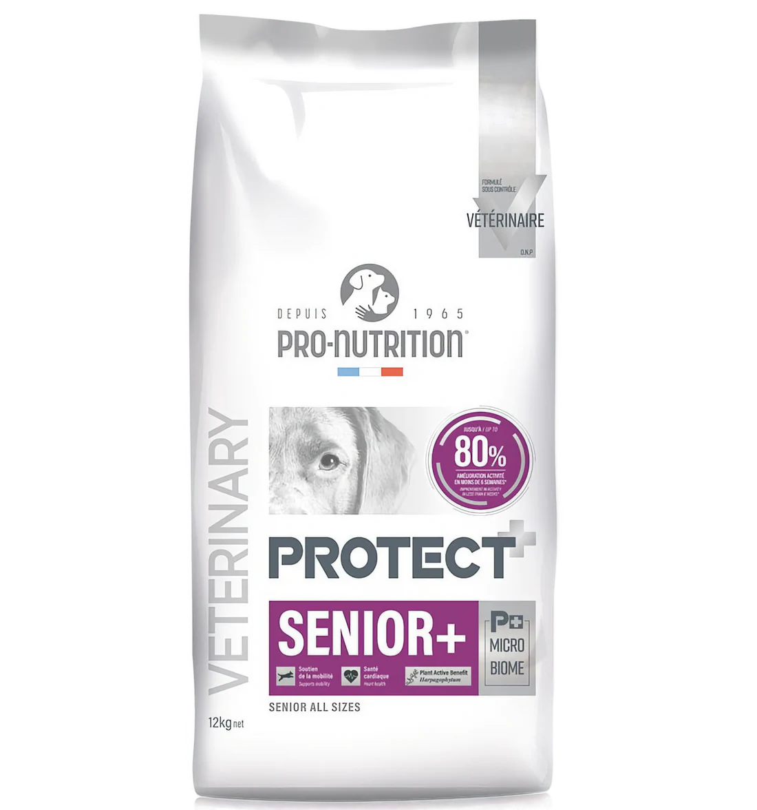 Protect Senior + - суха храна за възрастни кучета над 7 години