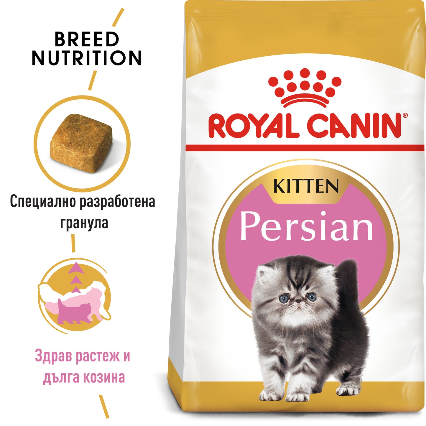 Royal Canin Persian - суха храна за подрастващи котки