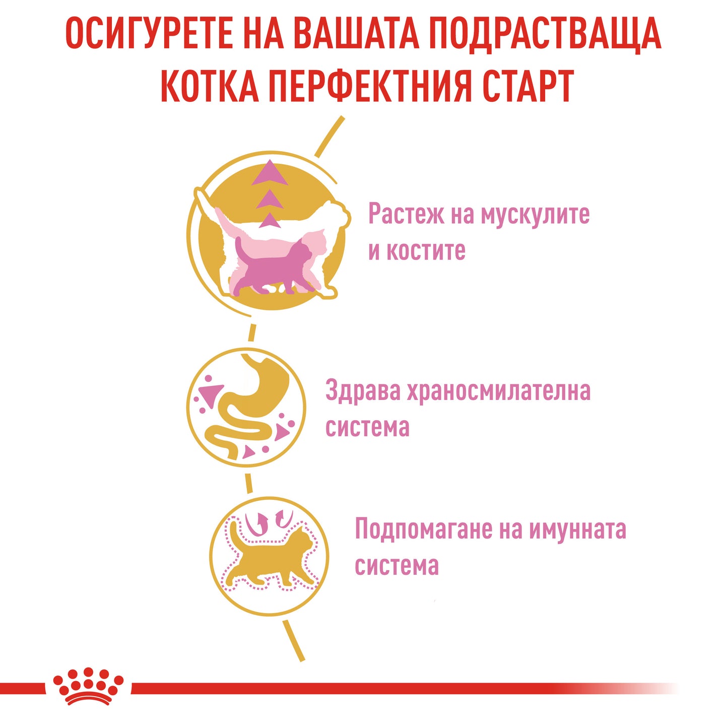 Royal Canin British Shorthair - суха храна за подрастващи котки