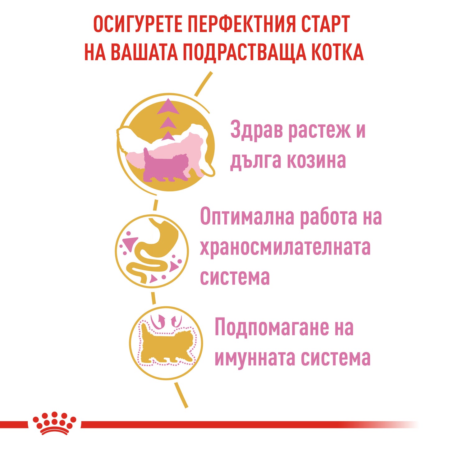 Royal Canin Persian - суха храна за подрастващи котки