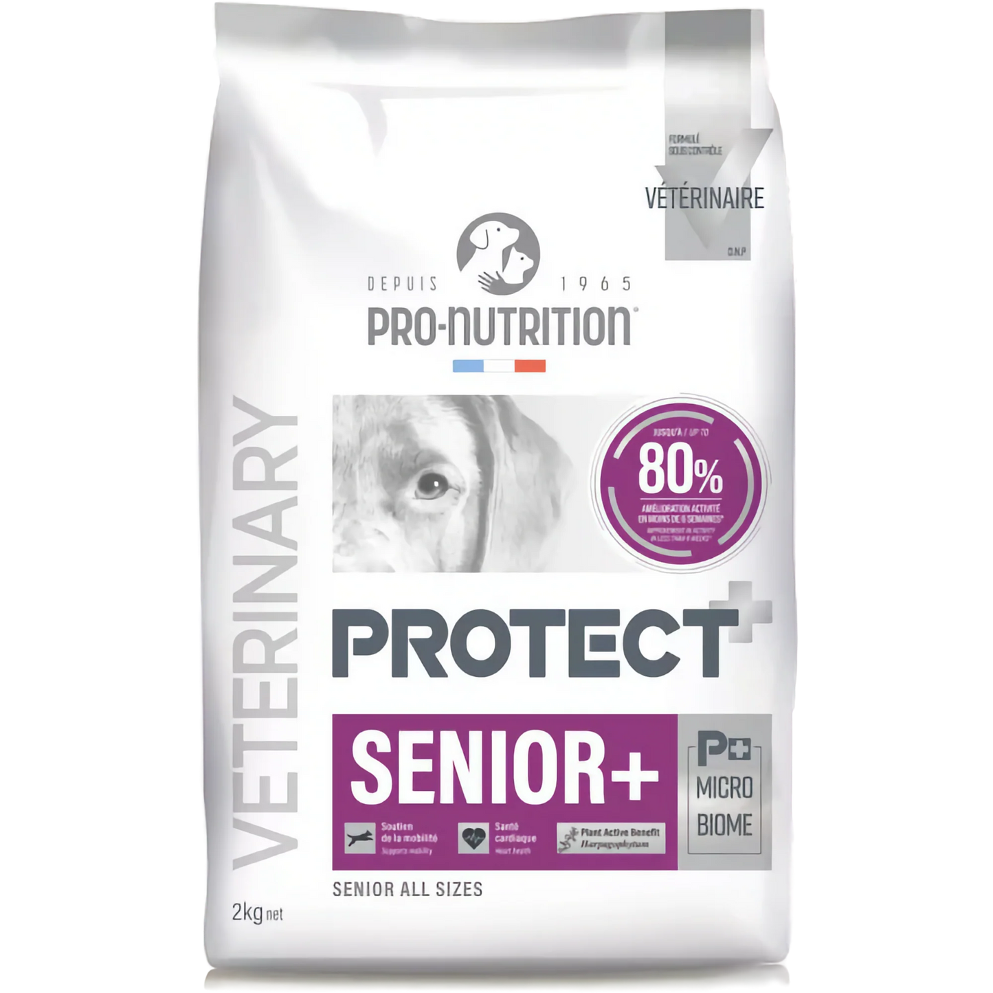 Protect Senior + - суха храна за възрастни кучета над 7 години
