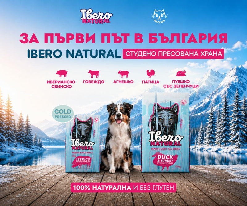 Mobile Banner